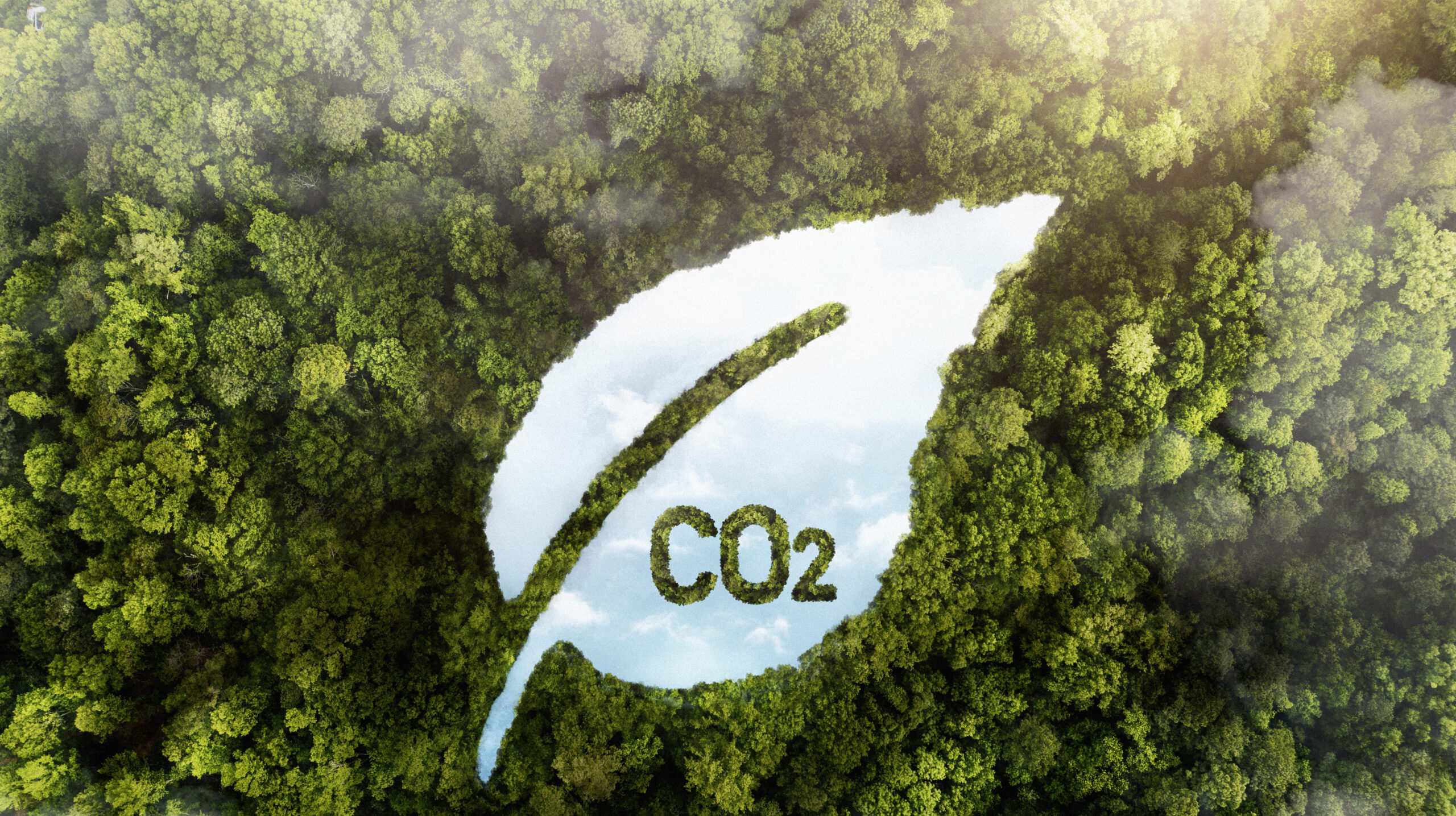 CarbonParcel: análise de propriedades para projetos de carbono florestal